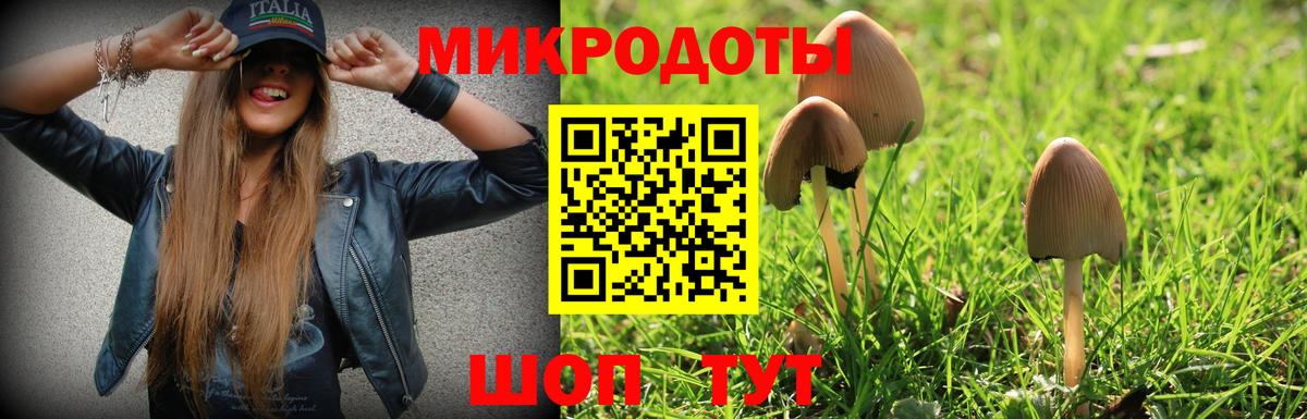 Краснознаменск  Псилоцибиновые грибы мухоморы  Вход с VPN  Галлюциногенные грибы Magic Shrooms 